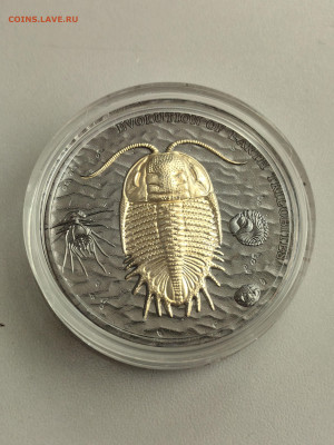 2дол 2016 Ниуэ Эволюция Земли Трилобиты, Ag999,2oz, до 04.03 - Ю Эволюция Трилобиты-2
