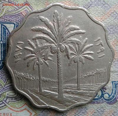 Ирак 10 филсов 1971 года до 02.03.2026 - IMG_20260225_203915