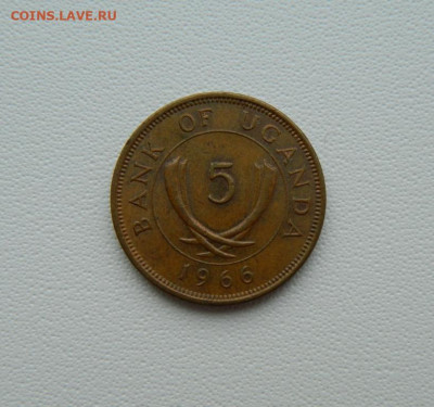 Уганда 5 центов 1966 г. С рубля! до 04.03.26 - DSCN1582.JPG