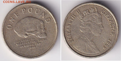 Гибралтар 1 фунт 2009 череп неандертальца до 04.03 22:00 - 1aeynUb,hfknfh