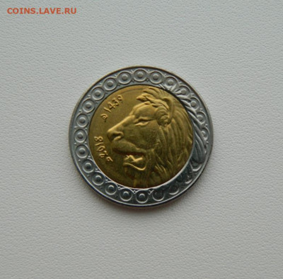 Алжир 20 динар 2018 г. (Фауна) БИМ С рубля!  до 04.03.26 - DSCN1520.JPG