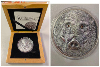 Монголия 500тугр 2018 Дикий кабан, Ag999, до 05.03 - Ю Монголия Кабан-0