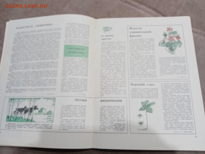 Лесной календарь 1970г до 04.03.26 в 22:00 по мск - IMG_20260227_011347