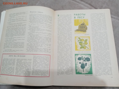 Лесной календарь 1970г до 04.03.26 в 22:00 по мск - IMG_20260227_011314