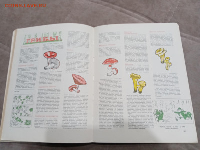 Лесной календарь 1970г до 04.03.26 в 22:00 по мск - IMG_20260227_011252