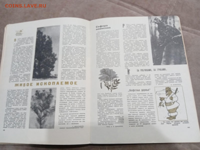 Лесной календарь 1970г до 04.03.26 в 22:00 по мск - IMG_20260227_011242