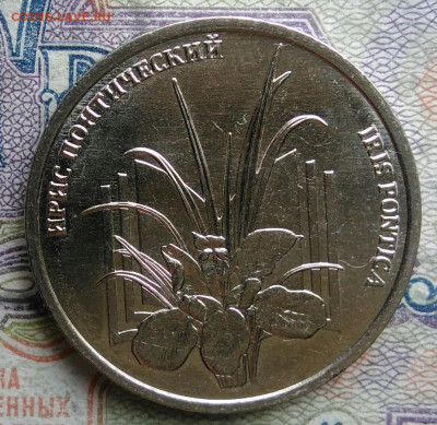 Приднестровье 1 рубль 2024 года Ирис до 02.03.2026 - IMG_20260226_224040