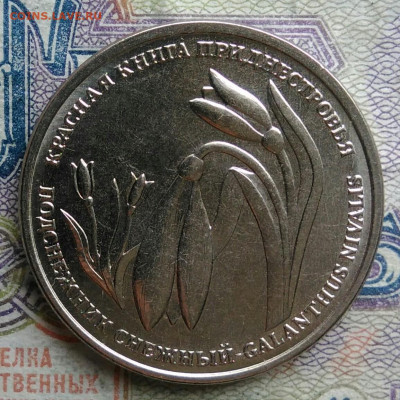Приднестровье 1 рубль 2020 года Подснежник до 02.03.2026 - IMG_20260226_224122