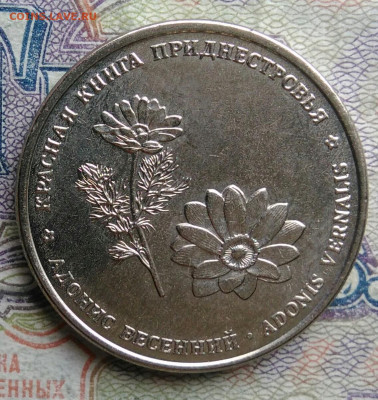 Приднестровье 1 рубль 2021 года Адонис до 02.03.2026 - IMG_20260226_223933