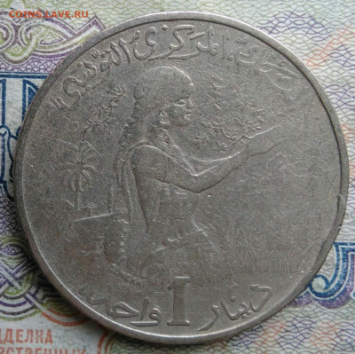 Тунис 1 динар 1983 года до 02.03.2026 - IMG_20260225_203600