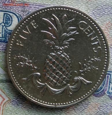 Багамы 5 центов 2005 года до 02.03.2026 - IMG_20260222_144904
