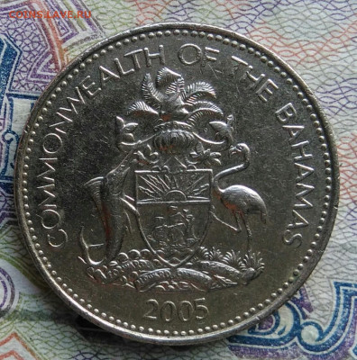 Багамы 5 центов 2005 года до 02.03.2026 - IMG_20260222_144918