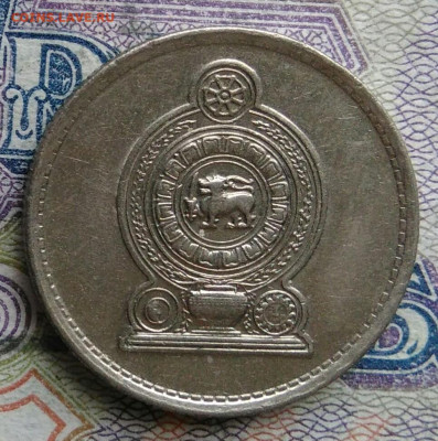 Шри-Ланка 25 центов 1982 года до 02.03.2026 - IMG_20260224_163225