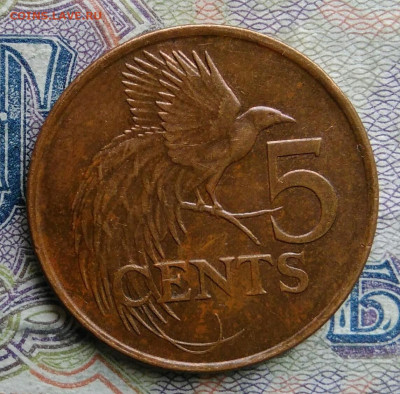 Тринидад и Тобаго 5 центов 2007 года до 02.03.2026 - IMG_20260225_201623