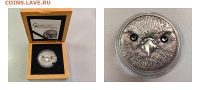 Монголия 500 тугриков 2016 Сокол балобан, Ag999, до 06.03 - Ю Монголия Сокол-0