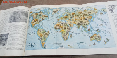 Детская энциклопедия том 1 1958 Год до 06.03.26 в 22:00 по м - IMG_20260301_002855