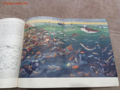 Детская энциклопедия том 1 1958 Год до 06.03.26 в 22:00 по м - IMG_20260301_002838