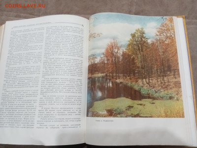 Детская энциклопедия том 1 1958 Год до 06.03.26 в 22:00 по м - IMG_20260301_002735