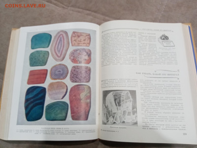 Детская энциклопедия том 2 1959г  до 06.03.26 в 22:00 по мск - IMG_20260301_011025