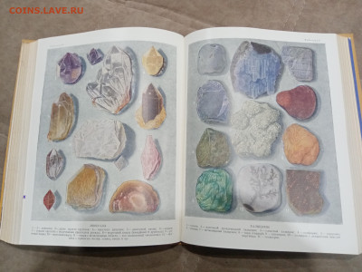 Детская энциклопедия том 2 1959г  до 06.03.26 в 22:00 по мск - IMG_20260301_011021