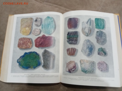 Детская энциклопедия том 2 1959г  до 06.03.26 в 22:00 по мск - IMG_20260301_011007