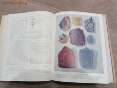 Детская энциклопедия том 2 1959г  до 06.03.26 в 22:00 по мск - IMG_20260301_010959