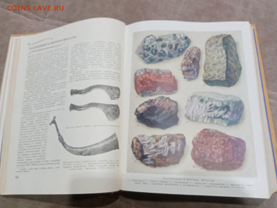 Детская энциклопедия том 2 1959г  до 06.03.26 в 22:00 по мск - IMG_20260301_010921