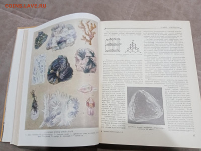 Детская энциклопедия том 2 1959г  до 06.03.26 в 22:00 по мск - IMG_20260301_010909