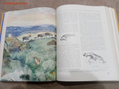 Детская энциклопедия том 4 1960г до 06.03.26 в 22:00 по мск - IMG_20260301_021403