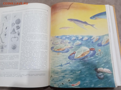 Детская энциклопедия том 4 1960г до 06.03.26 в 22:00 по мск - IMG_20260301_021334