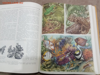 Детская энциклопедия том 4 1960г до 06.03.26 в 22:00 по мск - IMG_20260301_021313