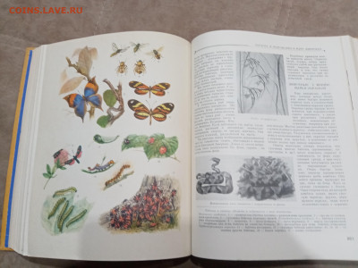 Детская энциклопедия том 4 1960г до 06.03.26 в 22:00 по мск - IMG_20260301_021301