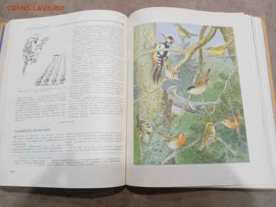Детская энциклопедия том 4 1960г до 06.03.26 в 22:00 по мск - IMG_20260301_021237