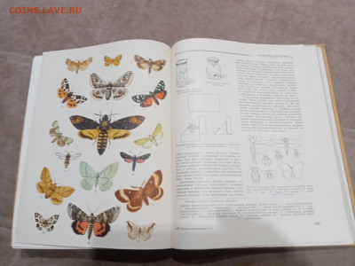 Детская энциклопедия том 4 1960г до 06.03.26 в 22:00 по мск - IMG_20260301_021151