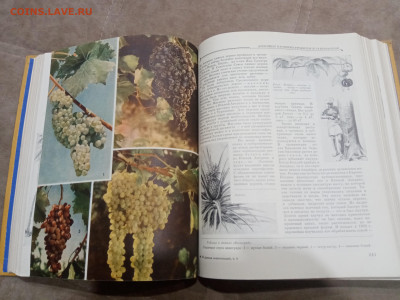 Детская энциклопедия том 4 1960г до 06.03.26 в 22:00 по мск - IMG_20260301_020932