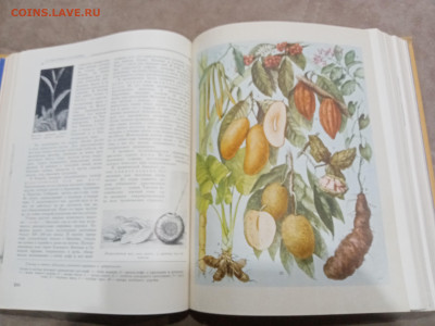 Детская энциклопедия том 4 1960г до 06.03.26 в 22:00 по мск - IMG_20260301_020926