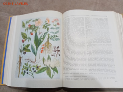 Детская энциклопедия том 4 1960г до 06.03.26 в 22:00 по мск - IMG_20260301_020916