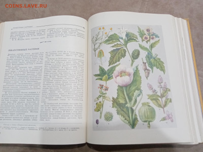 Детская энциклопедия том 4 1960г до 06.03.26 в 22:00 по мск - IMG_20260301_020910