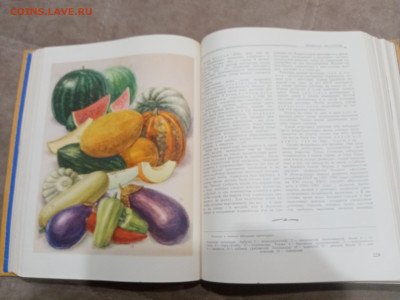 Детская энциклопедия том 4 1960г до 06.03.26 в 22:00 по мск - IMG_20260301_020901