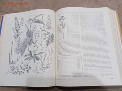 Детская энциклопедия том 4 1960г до 06.03.26 в 22:00 по мск - IMG_20260301_020850