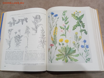 Детская энциклопедия том 4 1960г до 06.03.26 в 22:00 по мск - IMG_20260301_020832