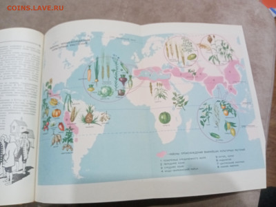 Детская энциклопедия том 4 1960г до 06.03.26 в 22:00 по мск - IMG_20260301_020818