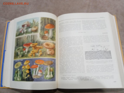 Детская энциклопедия том 4 1960г до 06.03.26 в 22:00 по мск - IMG_20260301_020805