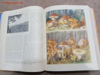 Детская энциклопедия том 4 1960г до 06.03.26 в 22:00 по мск - IMG_20260301_020748