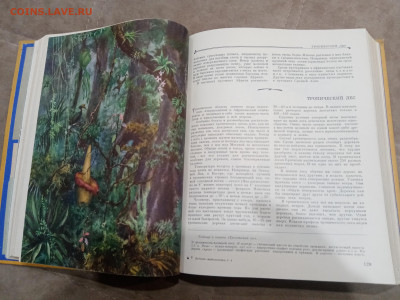 Детская энциклопедия том 4 1960г до 06.03.26 в 22:00 по мск - IMG_20260301_020740