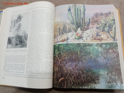 Детская энциклопедия том 4 1960г до 06.03.26 в 22:00 по мск - IMG_20260301_020733