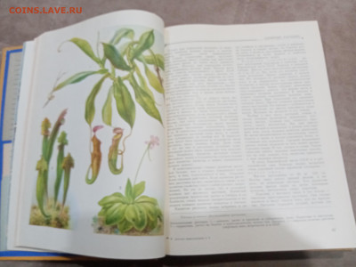 Детская энциклопедия том 4 1960г до 06.03.26 в 22:00 по мск - IMG_20260301_020723