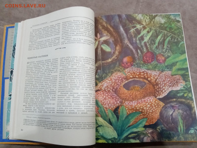 Детская энциклопедия том 4 1960г до 06.03.26 в 22:00 по мск - IMG_20260301_020718