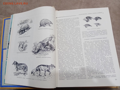 Детская энциклопедия том 4 1960г до 06.03.26 в 22:00 по мск - IMG_20260301_020705