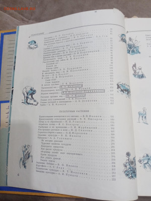 Детская энциклопедия том 4 1960г до 06.03.26 в 22:00 по мск - IMG_20260301_020608